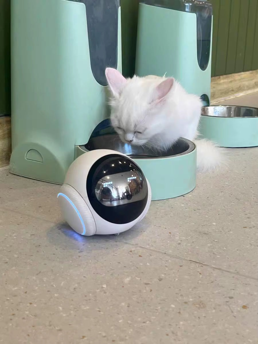 <h2>Loved by everyone, everywhere. Don't miss out.</h2>